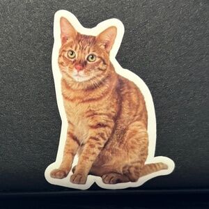 ORANGE CAT STICKER